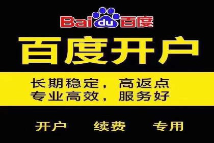 百度竞价托管外包案例：打造行业领军品牌